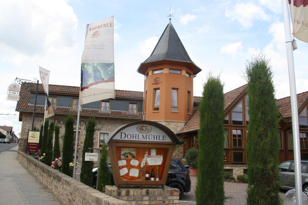 Dohlmuehle Hotel & Weingut فلونهايم المظهر الخارجي الصورة