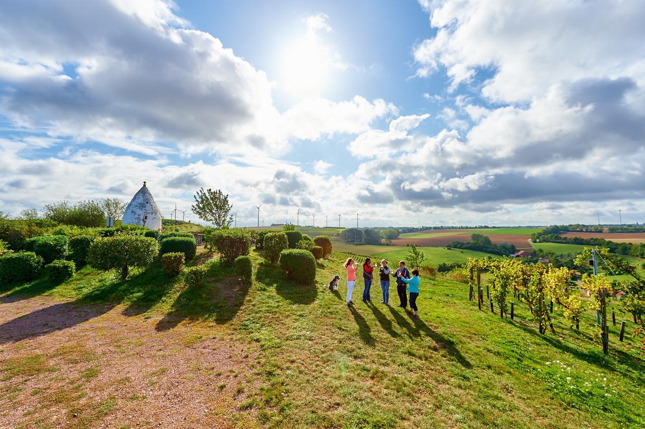 Dohlmuehle Hotel & Weingut فلونهايم المظهر الخارجي الصورة