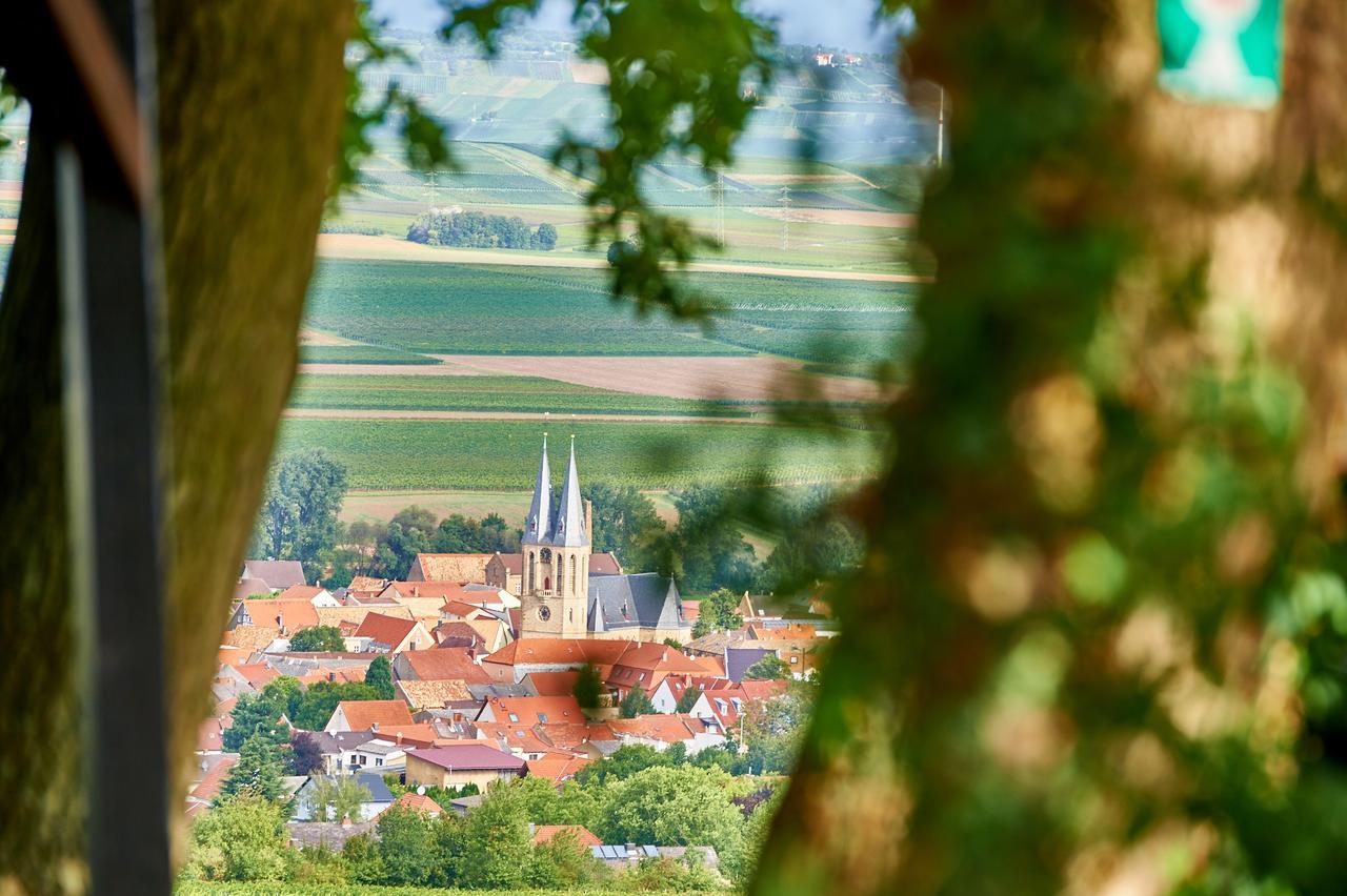 Dohlmuehle Hotel & Weingut فلونهايم المظهر الخارجي الصورة