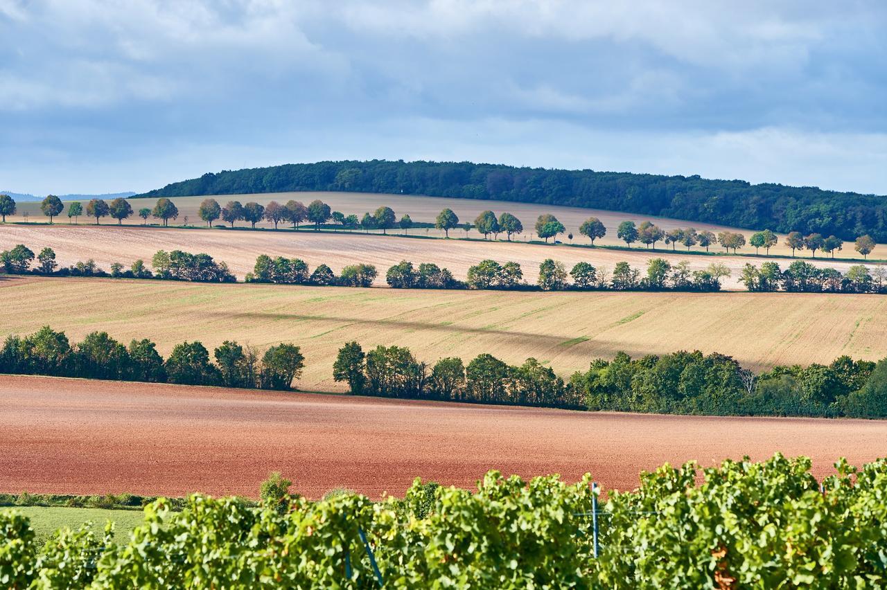 Dohlmuehle Hotel & Weingut فلونهايم المظهر الخارجي الصورة